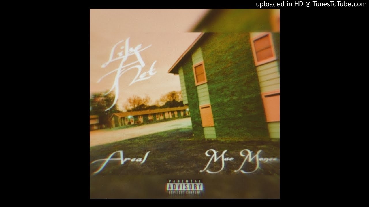 Areal - Like A Net Ft. Mac Monee (Prod. Bvtman)