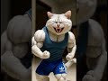 Crazy Cat