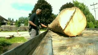 Urban Logging operations - Log recovery & transport by Titanic Trailer Services 95 views 3 years ago 2 minutes, 49 seconds