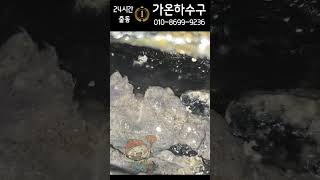 분당 정자동 주철 횡주관 역류 #1톤준설 #하수구뚫음 #하수구막힘 #가온하수구