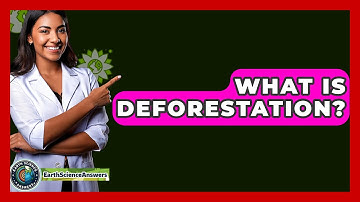 What Is Deforestation? - Earth Science Answers