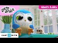 لوكاس ذا سبايدر | الضحك | كارتونيتو