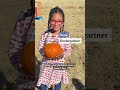 Kindergartners participate in the annual Venetucci Pumpkin Patch giveaway #colorado #fall