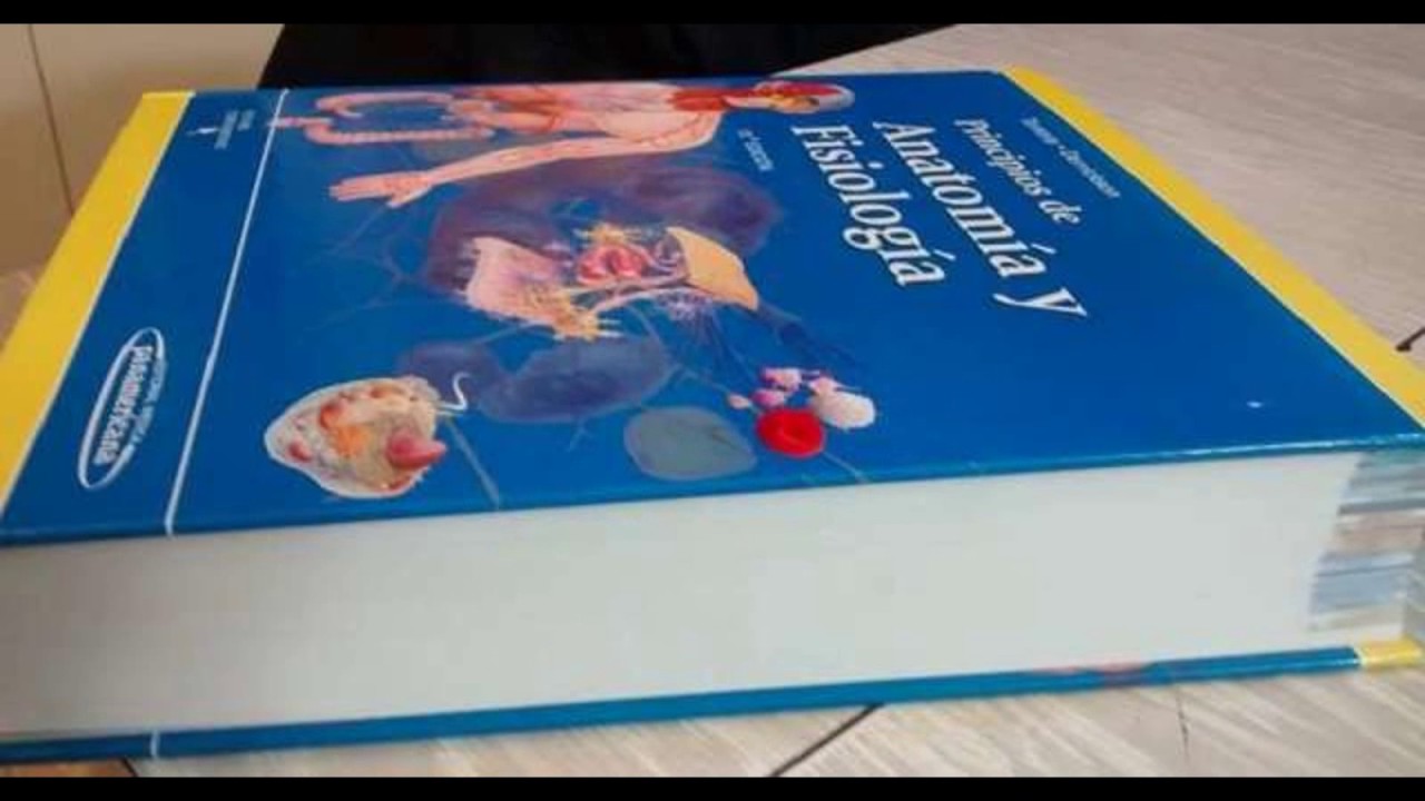 Tortora Principios De Anatomia E Fisiologia Pdf