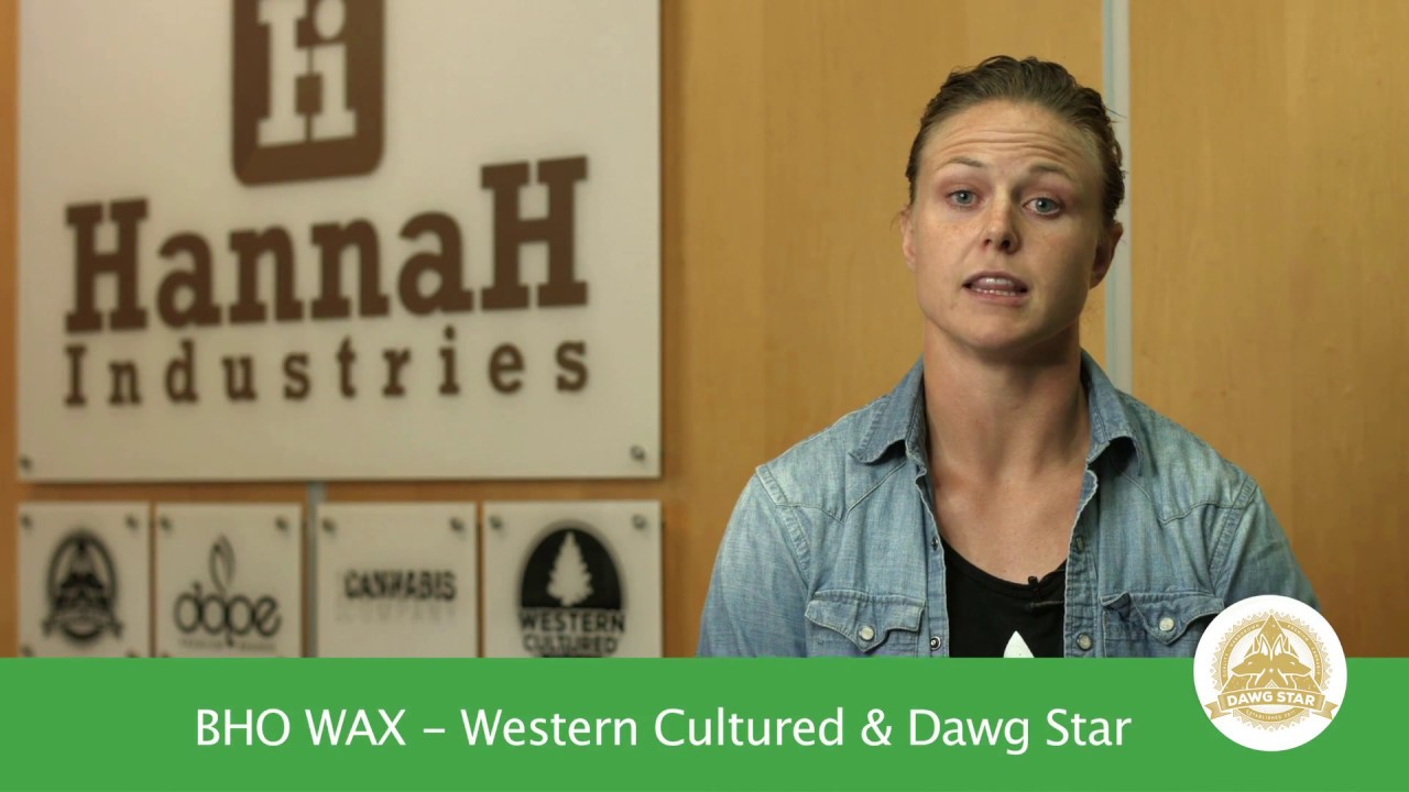 Dawg Star and Western Cultured BHO Wax