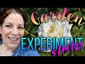 The Garden Experiment || 05/15/2021 ||