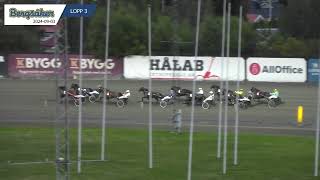 Vidéo de la course PMU STOLOPP