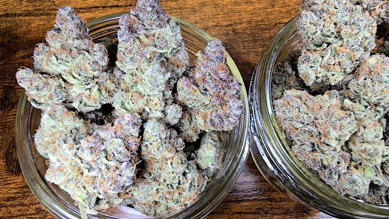 Blockberry, GMO S1, Apples & Bananas, Runtz Buttonz Final Buds!