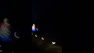 Oooo Pretty Lights! (Tanglewood Park Christmas Lights Part 1+Voice reveal and family)