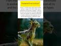 Lion wildlife history secret #lion #ukwildlife #usawildlife #wildlife #shorts
