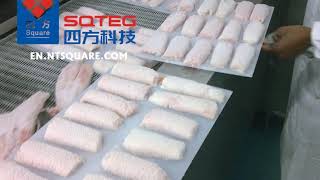 Square freezer freezing seafood products applications