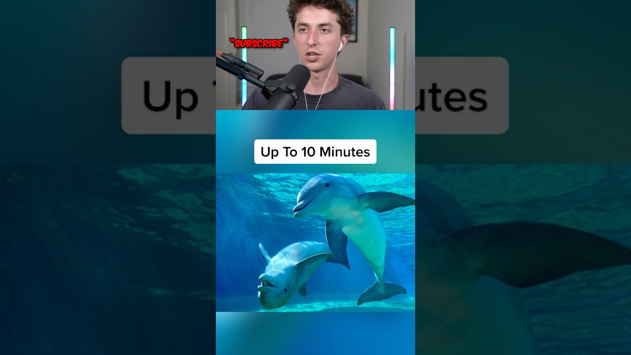 animals breath hold 🤯😱