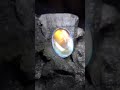 Natural Moonstone Size=10.60×7.60×5.10MMShape= Oval Cabochon, 3 carats,Color = white with Rainbow