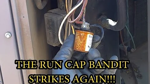 The RUN CAP BANDIT strikes again