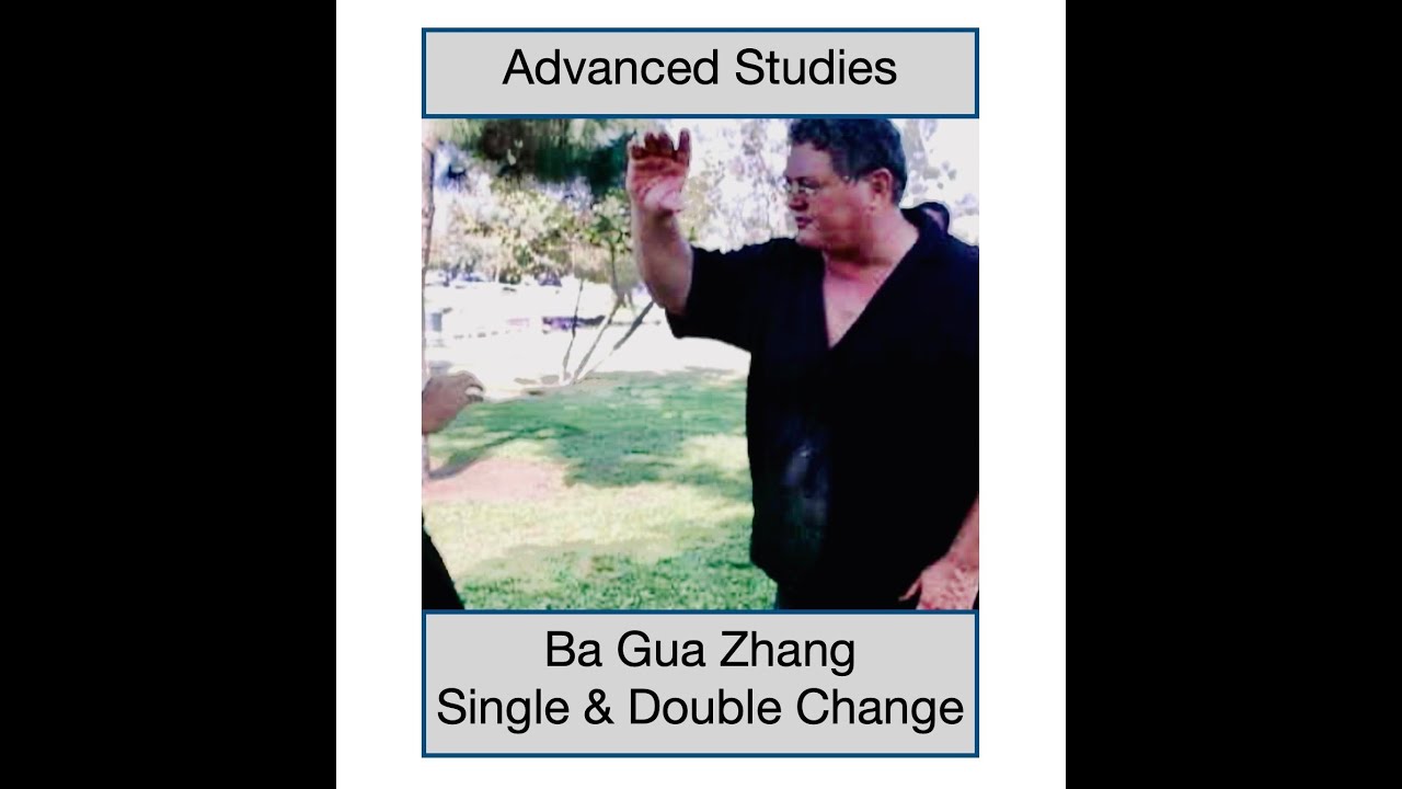 John Bracy Advanced Ba Gua Single & Double Change