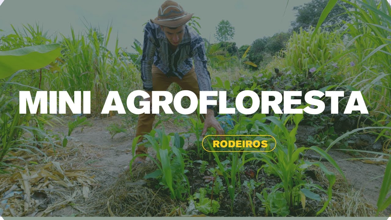 Resiliência em forma de Canteiro!