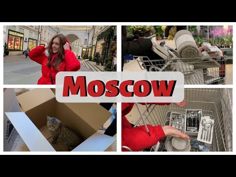 Переехали жить в