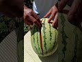 Satisfying Watermelon Cutting Tricks ✨ | Fresh Fruit Decoration Ideas