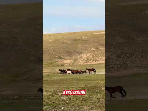 Kel Suu Lake Kyrgyzstan Travel Mountains Beautifuldestinations Landscape