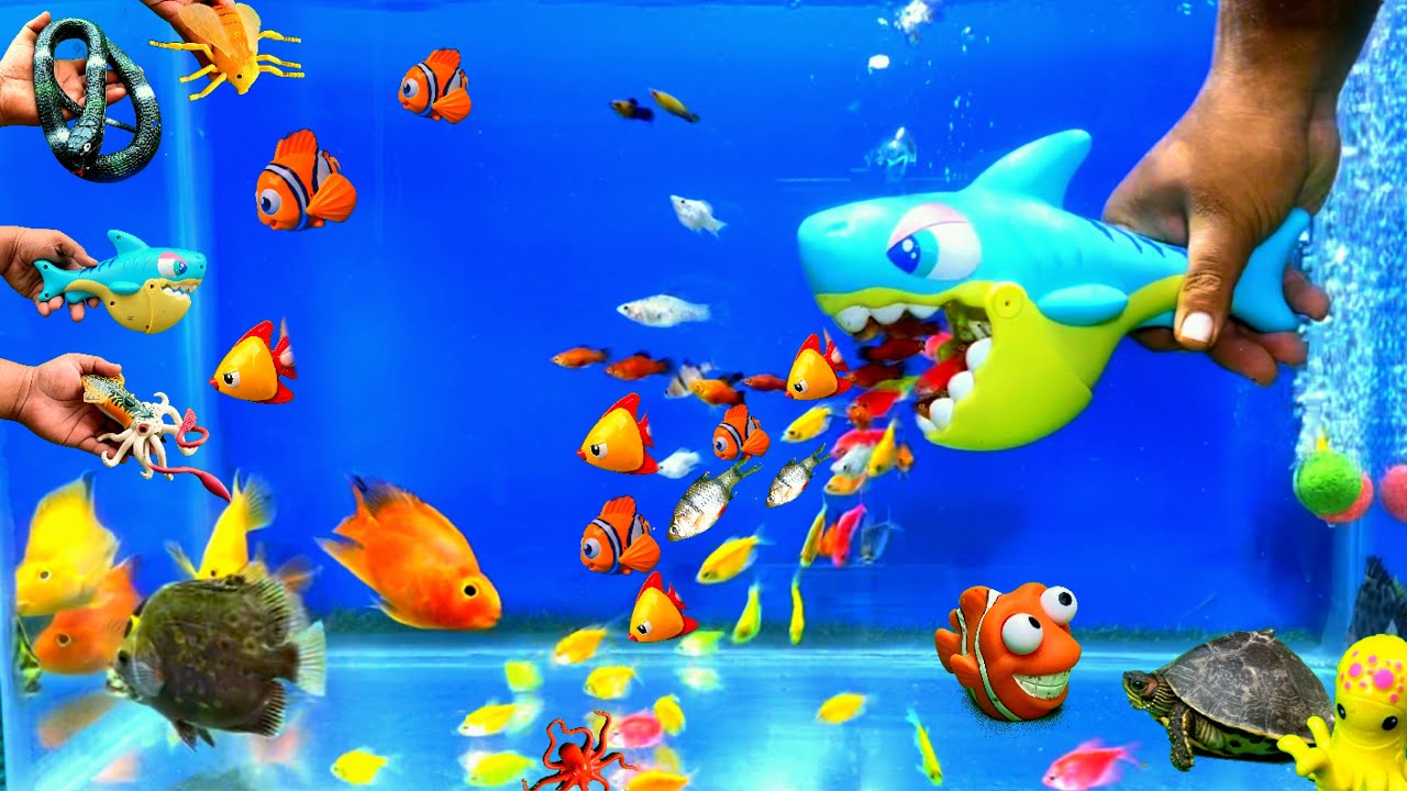 Little Big Fishes, Fish Tank, Aquarium Pets, Sea Animal Toys, Fish