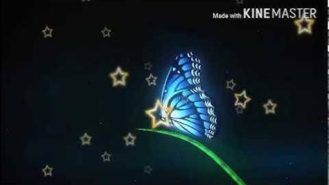 POSTERN Fast Shadowsocks Site #9 100 G allocation "SS.YUNSS.ORG" 08-15-17