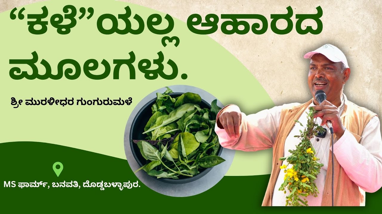 ನಾವು ಮರೆತ ಆಹಾರ ಸೊಪ್ಪುಗಳ ಬಗ್ಗೆ ತಿಳಿವ ಬನ್ನಿ। ‘ಕಳೆ’ಯಲ್ಲ ಆಹಾರ ಕಾರ್ಯಾಗಾರದ ಆಯ್ದ ತುಣುಕುಗಳು.