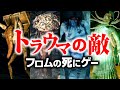 フロムの死にゲー トラウマの敵9選