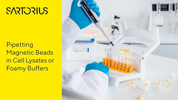 Tutorial: How to Pipette Magnetic Beads in PCR Clean-up