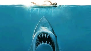 JAWS [4K HD Trailer] Roy Scheider, Robert Shaw, Richard Dreyfuss, Murray Hamilton, Lorraine Gary