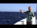 Blue whales brilliant timing  big blue live preview  bbc one