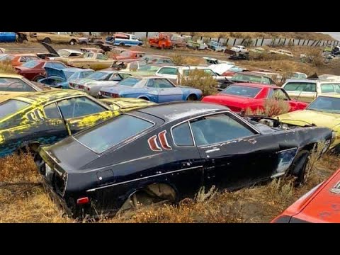 Toyota Celica Graveyard!