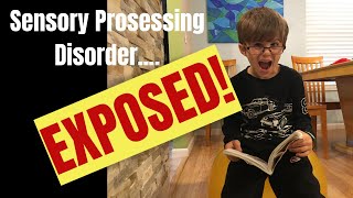 Sensory Processing Disorder: How To Recognize, Understand, and Deal with in Kids What is SPD Anyway?