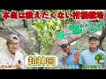 【超神回】有料級の瀬片さん動画！植物ホルモンを徹底理解して変幻自在に木を作る！現代農業でも紹介された柑橘初の芽傷入れ！【せがた農園 瀬片元治さん①】