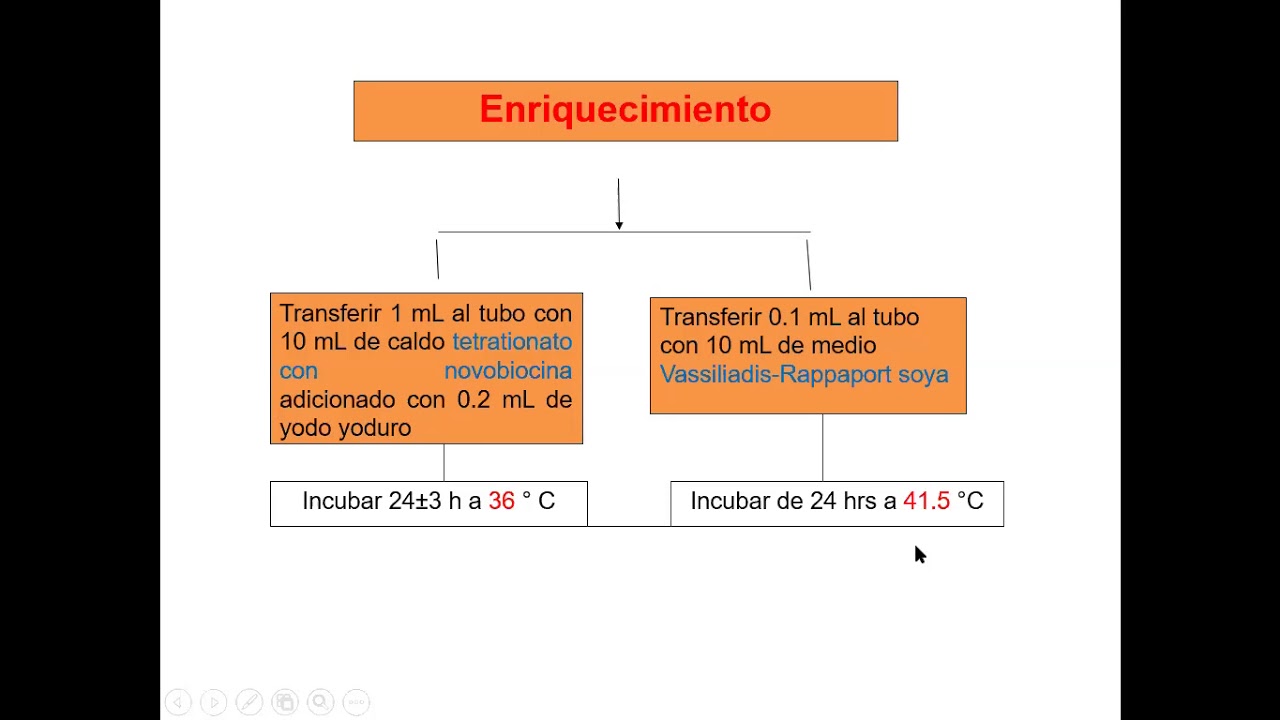 Determinación de Salmonella, presentado por la Dra. Claudia Alcázar Montañez
