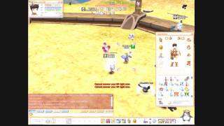 FlyFF Random Asals