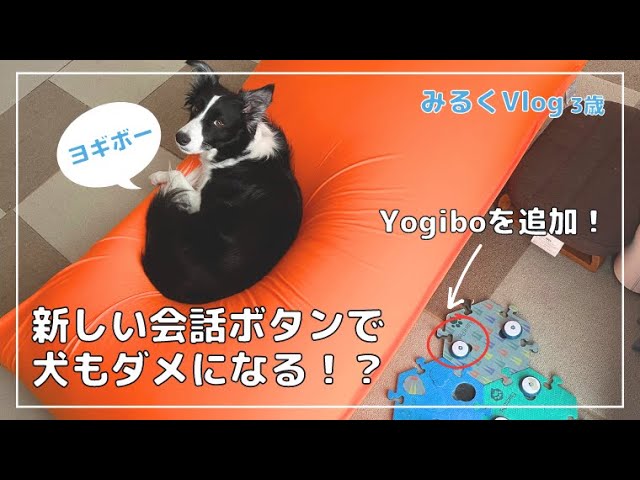 Talking Dog 5] New conversation buttons added! Can the Border 