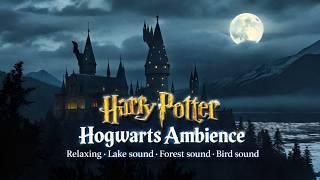 Harry Potter Hogwarts Ambience 🏰 Night Lake Sounds • Relaxing Forest &amp; Nature ASMR for Sleep &amp; Study