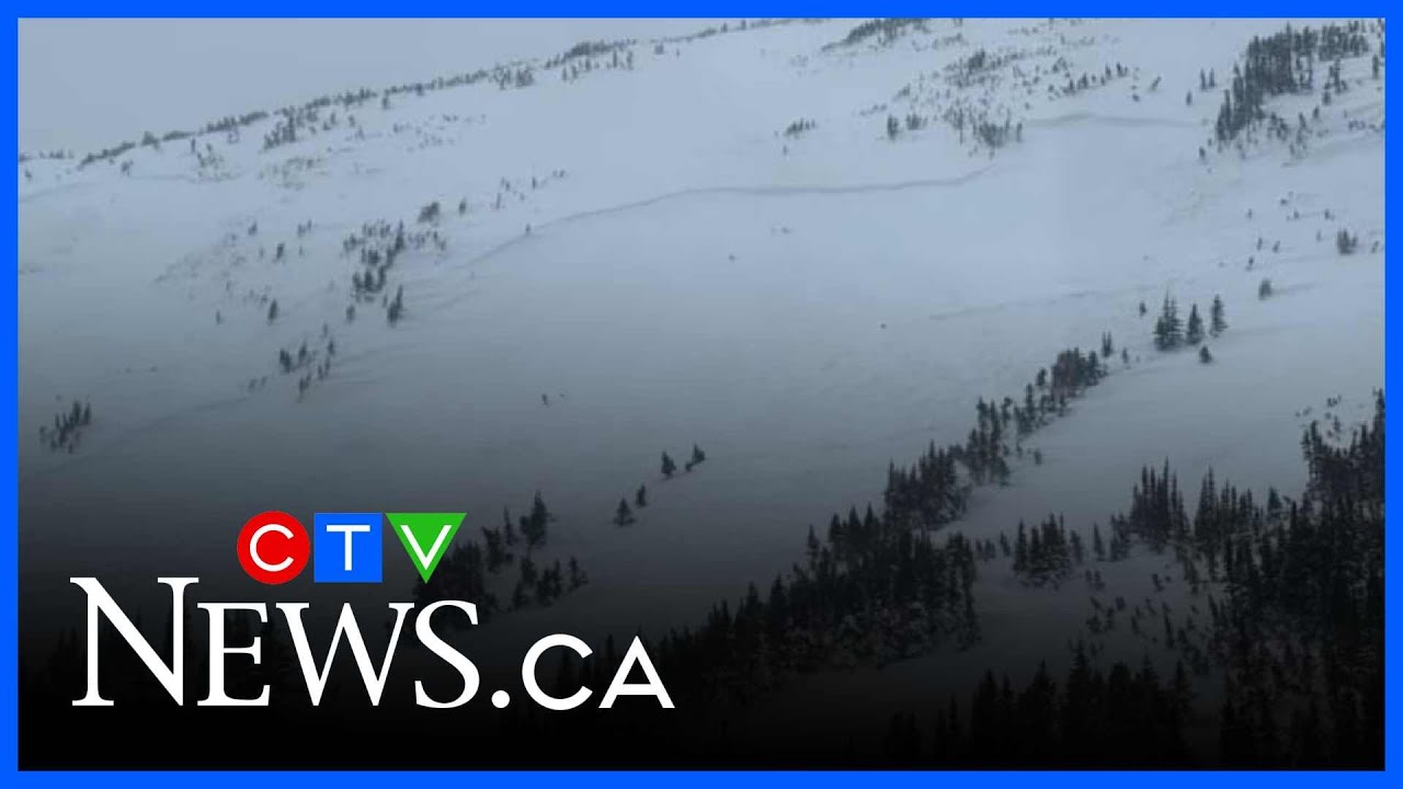 Snowmobiler dies in B.C. avalanche