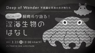 飼育係が語る！深海生物のはなし　Deep of Wonder