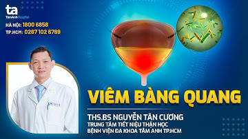 Viêm bàng quang: Nguyên nhân, triệu chứng, chẩn đoán và điều trị | ThS.BS Nguyễn Tân Cương