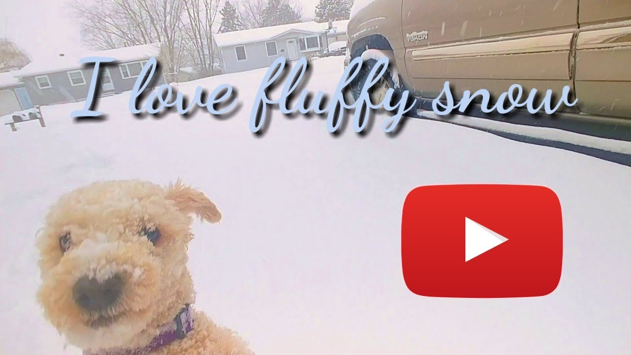 Tutty jumps like a rabbit Living alone in US Vlog YouTube