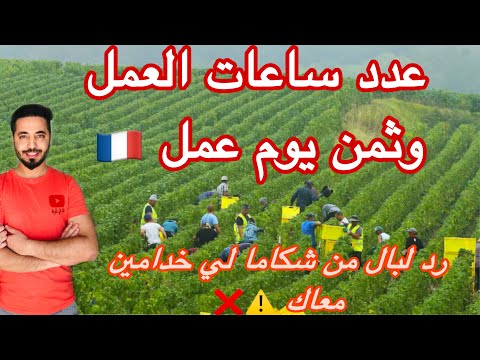 العمل في الفلاحة شحال كنتخلص في نهار وشحال من ساعة تنخدم نصائح لكل راغبين في لعمل في فلاحة