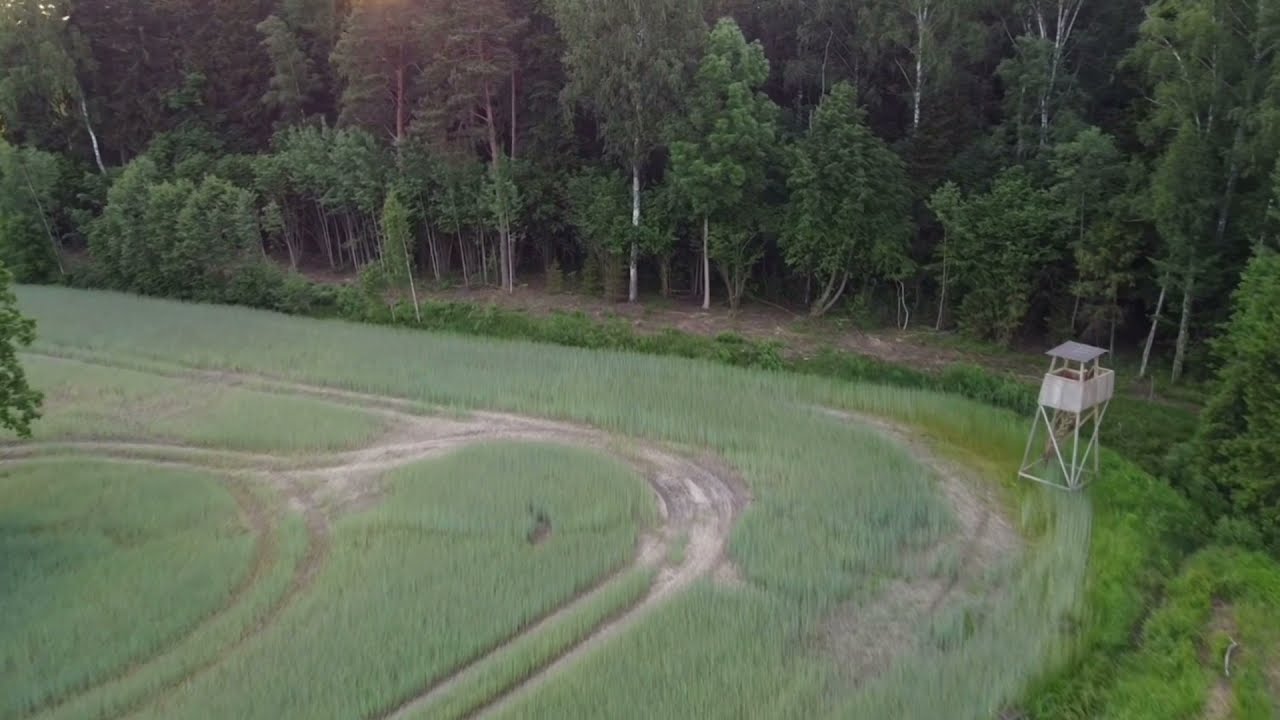 Medību platības no putna lidojuma