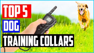 Top 5 Best Dog Training Collars Reviews And Buying Guide 2021