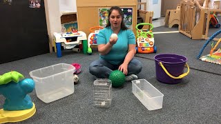 Fine Motor Sorting