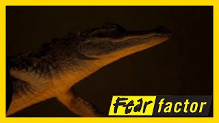 Fear Factor US (Championship - Part 2) Season 2 Episode 19: Swim with Gator  🐊