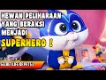 TERNYATA BEGINI KELAKUAN HEWAN PELIHARAAN SAAT KAMU TAK DIRUMAH || ALUR CERITA SECRET LIFE OF PET 2