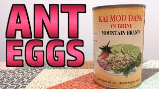 Kai Mod Daeng - Ant Eggs Actually Pupae - Weird Stuff In A Can