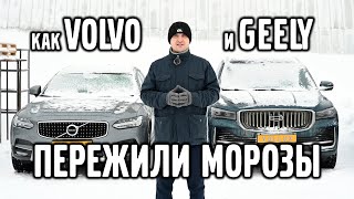 Как Geely и Volvo переживают морозы