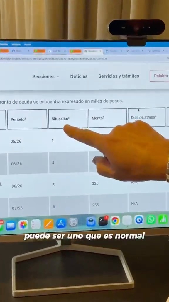 Guía: cómo leer tu informe de la Central de Deudores del BCRA (y sacarle jugo)👇🏼